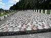P7223058.JPG